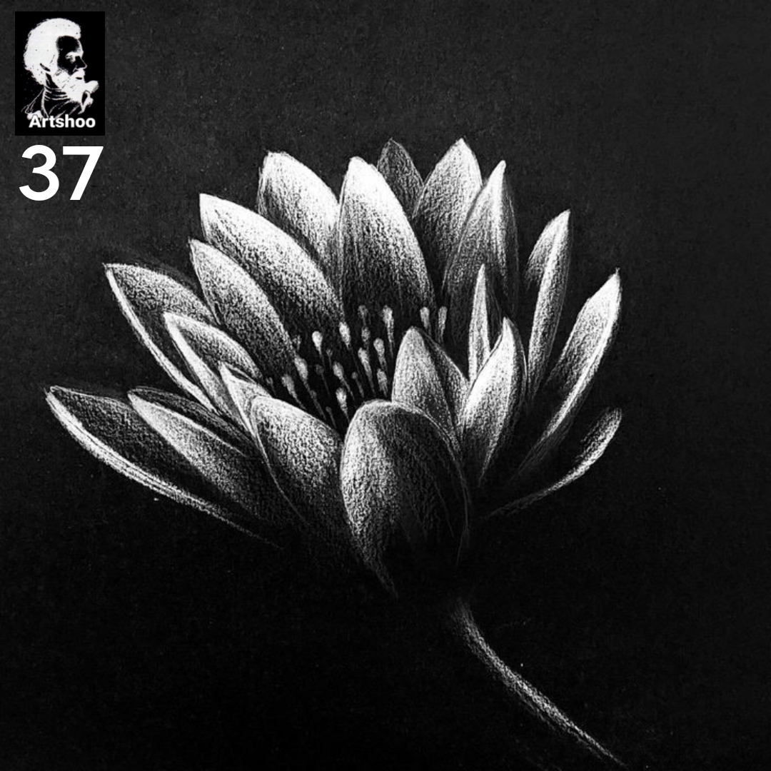 آموزش نقاشی طراحی سیاه قلم شهرری